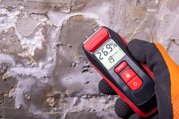 Best Residential Mold Remediation in Kensington, MD