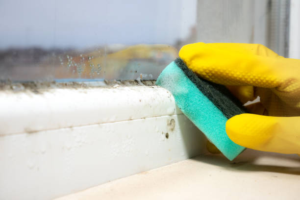 Kensington, MD Mold Remediation Company