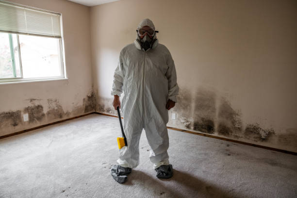 Best Commercial Mold Remediation in Kensington, MD